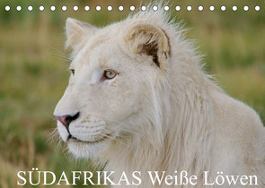 SÜDAFRIKAS Weiße Löwen (Tischkalender 2022 DIN A5 quer) von Thula