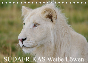 SÜDAFRIKAS Weiße Löwen (Tischkalender 2023 DIN A5 quer) von Thula