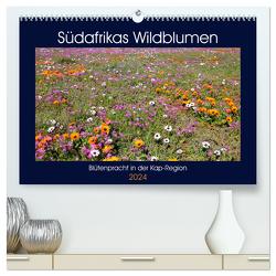 Südafrikas Wildblumen – Blütenpracht in der Kap-Region (hochwertiger Premium Wandkalender 2024 DIN A2 quer), Kunstdruck in Hochglanz von Herzog,  Michael