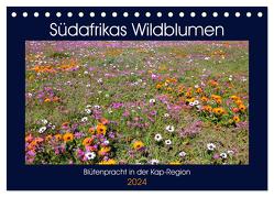 Südafrikas Wildblumen – Blütenpracht in der Kap-Region (Tischkalender 2024 DIN A5 quer), CALVENDO Monatskalender von Herzog,  Michael