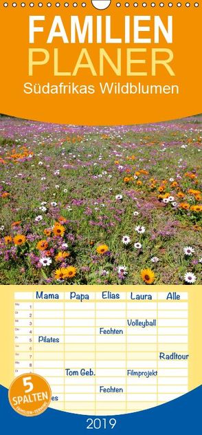 Südafrikas Wildblumen – Familienplaner hoch (Wandkalender 2019 , 21 cm x 45 cm, hoch) von Herzog,  Michael