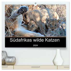 Südafrikas wilde Katzen (hochwertiger Premium Wandkalender 2024 DIN A2 quer), Kunstdruck in Hochglanz von A. Bissig,  Markus