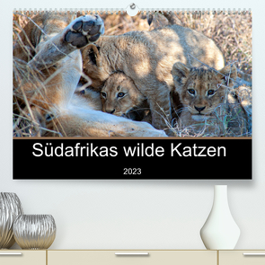 Südafrikas wilde Katzen (Premium, hochwertiger DIN A2 Wandkalender 2023, Kunstdruck in Hochglanz) von A. Bissig,  Markus