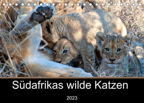 Südafrikas wilde Katzen (Tischkalender 2023 DIN A5 quer) von A. Bissig,  Markus