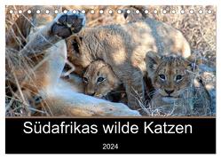 Südafrikas wilde Katzen (Tischkalender 2024 DIN A5 quer), CALVENDO Monatskalender von A. Bissig,  Markus