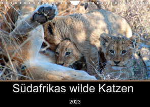 Südafrikas wilde Katzen (Wandkalender 2023 DIN A4 quer) von A. Bissig,  Markus