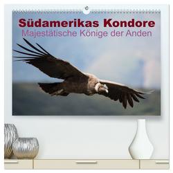 Südamerikas Kondore – Majestätische Könige der Anden (hochwertiger Premium Wandkalender 2024 DIN A2 quer), Kunstdruck in Hochglanz von Bob,  Alexander