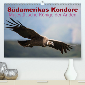 Südamerikas Kondore – Majestätische Könige der Anden (Premium, hochwertiger DIN A2 Wandkalender 2020, Kunstdruck in Hochglanz) von Bob,  Alexander