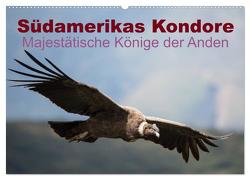 Südamerikas Kondore – Majestätische Könige der Anden (Wandkalender 2024 DIN A2 quer), CALVENDO Monatskalender von Bob,  Alexander
