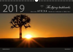 Südliches Afrika 2019 (Wandkalender 2019 DIN A3 quer) von flying bushhawks,  The