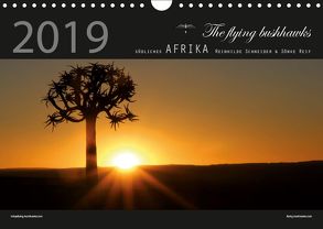 Südliches Afrika 2019 (Wandkalender 2019 DIN A4 quer) von flying bushhawks,  The