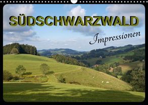 Südschwarzwald – Impressionen (Wandkalender 2019 DIN A3 quer) von Flori0