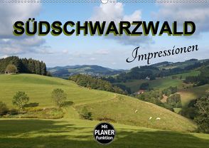 Südschwarzwald – Impressionen (Wandkalender 2020 DIN A2 quer) von Flori0
