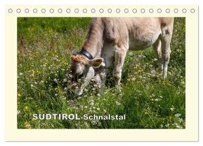 SÜDTIROL-Schnalstal (Tischkalender 2024 DIN A5 quer), CALVENDO Monatskalender von Walliser,  Richard