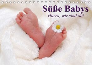 Süße Babys. Hurra, wir sind da! (Tischkalender 2019 DIN A5 quer) von Stanzer,  Elisabeth