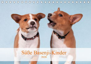 Süße Basenji-Kinder (Tischkalender 2020 DIN A5 quer) von Joswig,  Angelika