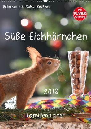 Süße Eichhörnchen (Wandkalender 2018 DIN A2 hoch) von Adam,  Heike