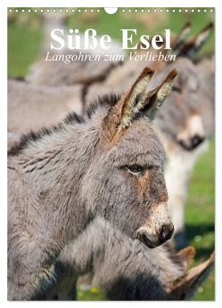 Süße Esel. Langohren zum Verlieben (Wandkalender 2024 DIN A3 hoch), CALVENDO Monatskalender von Stanzer,  Elisabeth