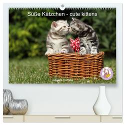 Süße Kätzchen – cute kittens (hochwertiger Premium Wandkalender 2024 DIN A2 quer), Kunstdruck in Hochglanz von Hutfluss,  Jeanette