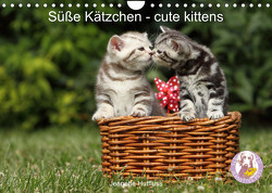 Süße Kätzchen – cute kittens (Wandkalender 2023 DIN A4 quer) von Hutfluss,  Jeanette