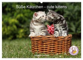 Süße Kätzchen – cute kittens (Wandkalender 2024 DIN A2 quer), CALVENDO Monatskalender von Hutfluss,  Jeanette