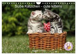 Süße Kätzchen – cute kittens (Wandkalender 2024 DIN A4 quer), CALVENDO Monatskalender von Hutfluss,  Jeanette