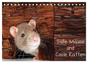 Süße Mäuse und Coole Ratten / CH-Version (Tischkalender 2024 DIN A5 quer), CALVENDO Monatskalender von Eppele,  Klaus