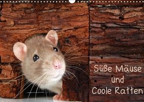 Süße Mäuse und Coole Ratten / CH-Version (Wandkalender 2018 DIN A3 quer) von Eppele,  Klaus