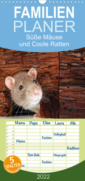 Familienplaner Süße Mäuse und Coole Ratten (Wandkalender 2022 , 21 cm x 45 cm, hoch) von Eppele,  Klaus