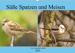 Süße Spatzen und Meisen (Wandkalender 2022 DIN A2 quer) von Andreas Lederle,  Kevin