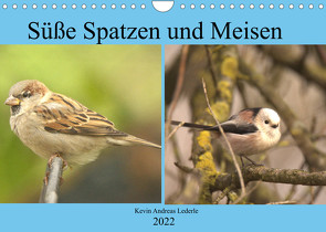 Süße Spatzen und Meisen (Wandkalender 2022 DIN A4 quer) von Andreas Lederle,  Kevin