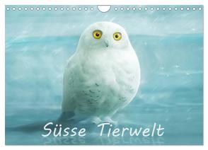 Süsse Tierwelt / CH-Version / Geburtstagskalender (Wandkalender 2024 DIN A4 quer), CALVENDO Monatskalender von Schoisswohl,  Silvio