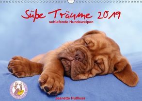 Süße Träume 2019 – schlafende Hundewelpen (Wandkalender 2019 DIN A3 quer) von Hutfluss,  Jeanette