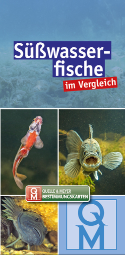Süßwasserfische im Vergleich von Quelle & Meyer Verlag