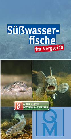 Süßwasserfische von Quelle & Meyer Verlag