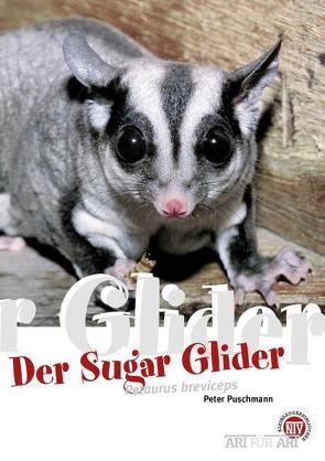 Der Sugar Glider von Puschmann,  Peter