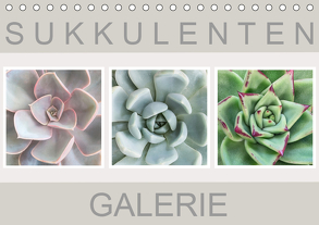 Sukkulenten Galerie (Tischkalender 2019 DIN A5 quer) von Wurster,  Beate