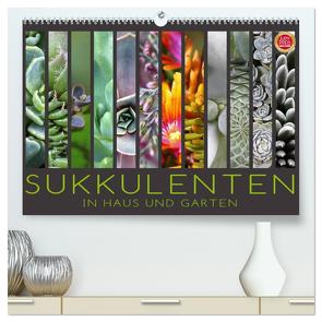 Sukkulenten in Haus und Garten (hochwertiger Premium Wandkalender 2024 DIN A2 quer), Kunstdruck in Hochglanz von Cross,  Martina