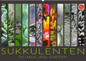 Sukkulenten in Haus und Garten (Wandkalender 2023 DIN A2 quer) von Cross,  Martina