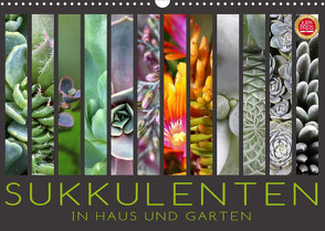 Sukkulenten in Haus und Garten (Wandkalender 2023 DIN A3 quer) von Cross,  Martina
