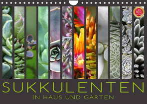 Sukkulenten in Haus und Garten (Wandkalender 2023 DIN A4 quer) von Cross,  Martina