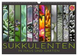 Sukkulenten in Haus und Garten (Wandkalender 2024 DIN A3 quer), CALVENDO Monatskalender von Cross,  Martina