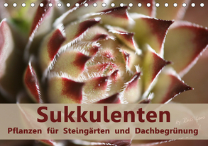 Sukkulenten – Pflanzen für Steingärten und Dachbegrünung (Tischkalender 2020 DIN A5 quer) von Lorz - LoRo-Artwork,  Rosi