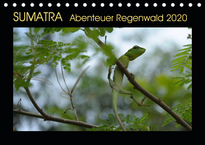 SUMATRA Abenteuer Regenwald (Tischkalender 2020 DIN A5 quer) von Grallert,  Bettina