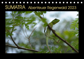 SUMATRA Abenteuer Regenwald (Tischkalender 2023 DIN A5 quer) von Grallert,  Bettina