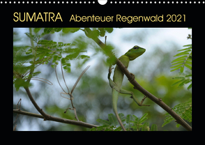 SUMATRA Abenteuer Regenwald (Wandkalender 2021 DIN A3 quer) von Grallert,  Bettina