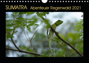 SUMATRA Abenteuer Regenwald (Wandkalender 2021 DIN A4 quer) von Grallert,  Bettina