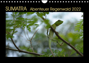 SUMATRA Abenteuer Regenwald (Wandkalender 2022 DIN A4 quer) von Grallert,  Bettina