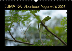 SUMATRA Abenteuer Regenwald (Wandkalender 2023 DIN A3 quer) von Grallert,  Bettina