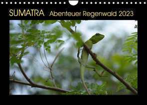 SUMATRA Abenteuer Regenwald (Wandkalender 2023 DIN A4 quer) von Grallert,  Bettina